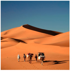 Cruzando el desierto